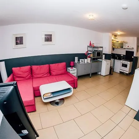 Daire At - Pink Rostock